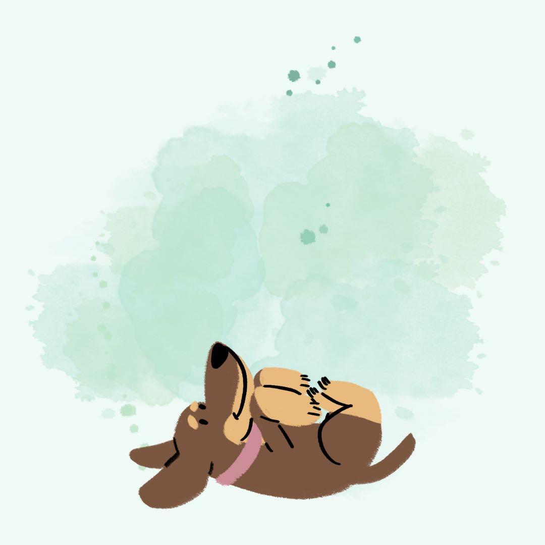 ペット屋浅吉様