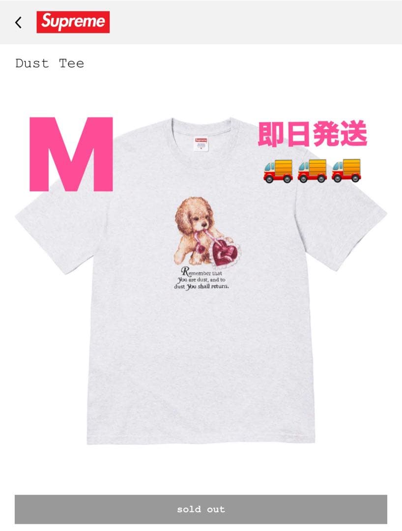 Supreme Dust Tee Ash Grey