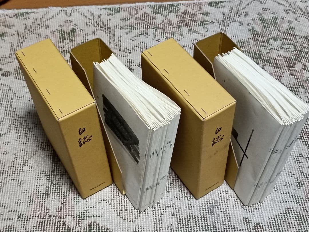 白誌 2期セット　野口整体　身体教育研究所