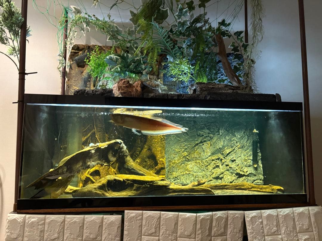 オーバーフロー濾過水セット(アクリル・120cm) LED照明付(直接受渡歓迎