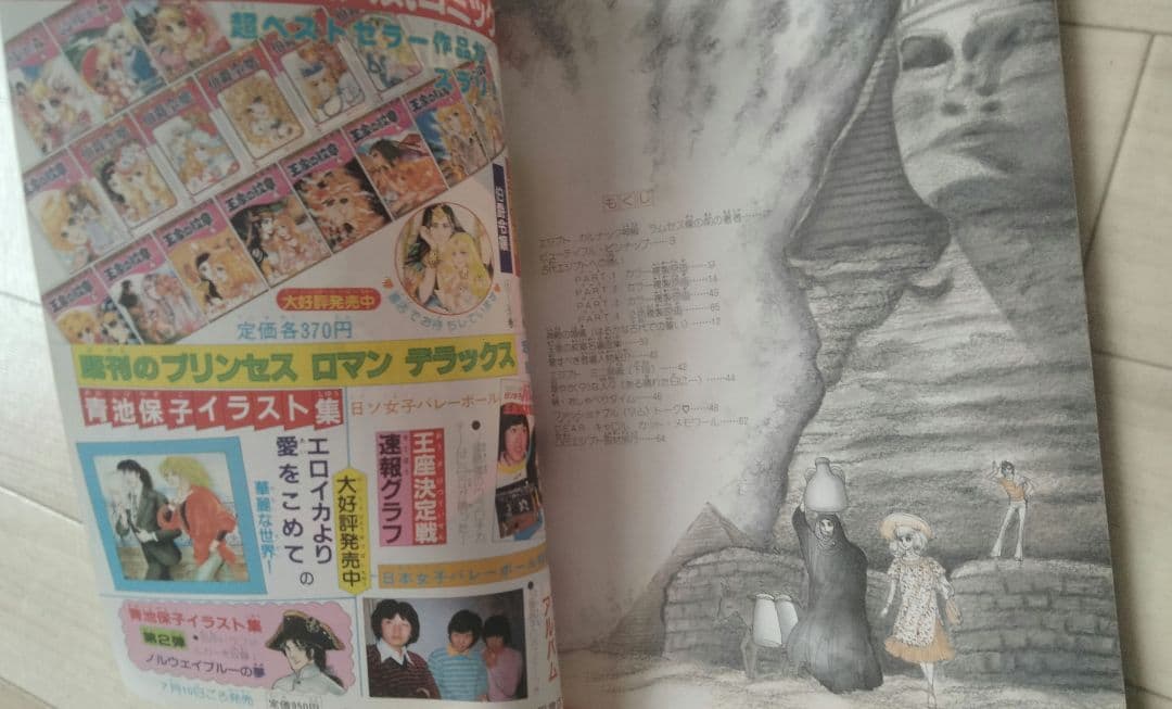 【美品】王家の紋章 イラスト集 ポスター付き　細川知恵子