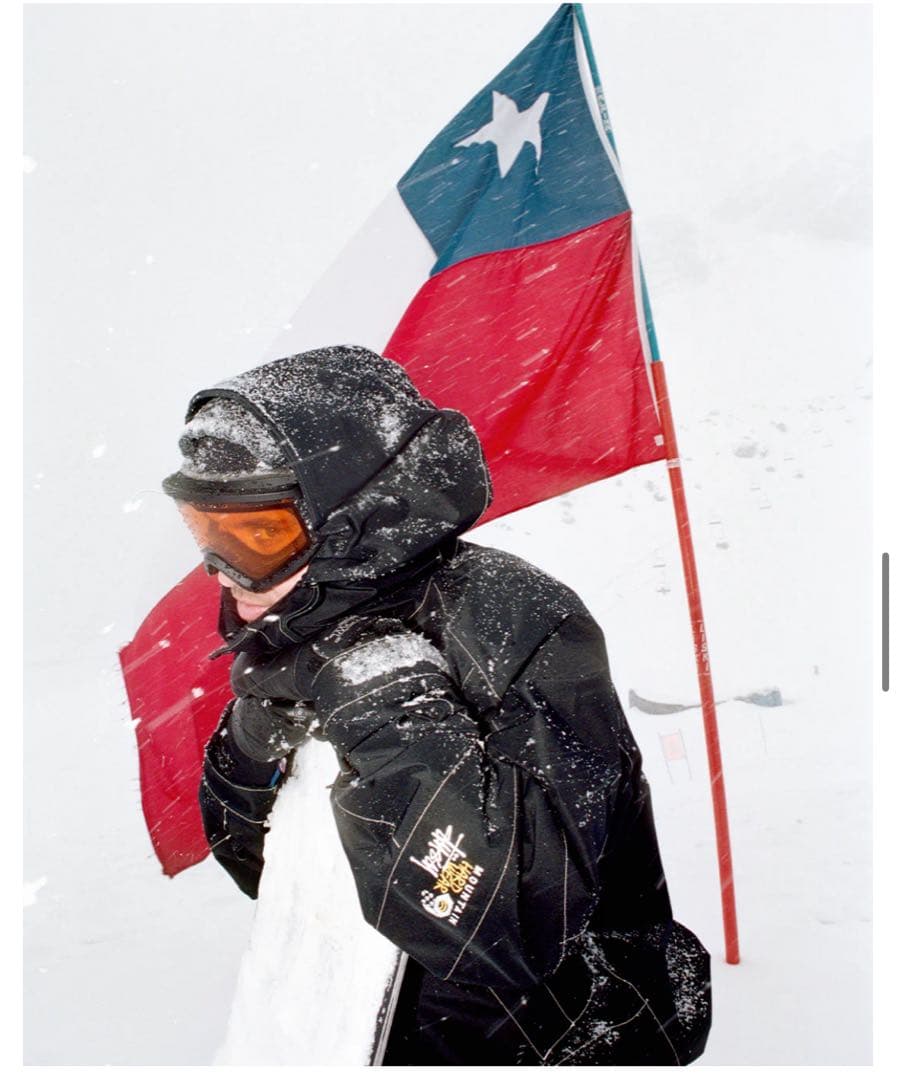 Stussy mountain hardwear ステューシー　M