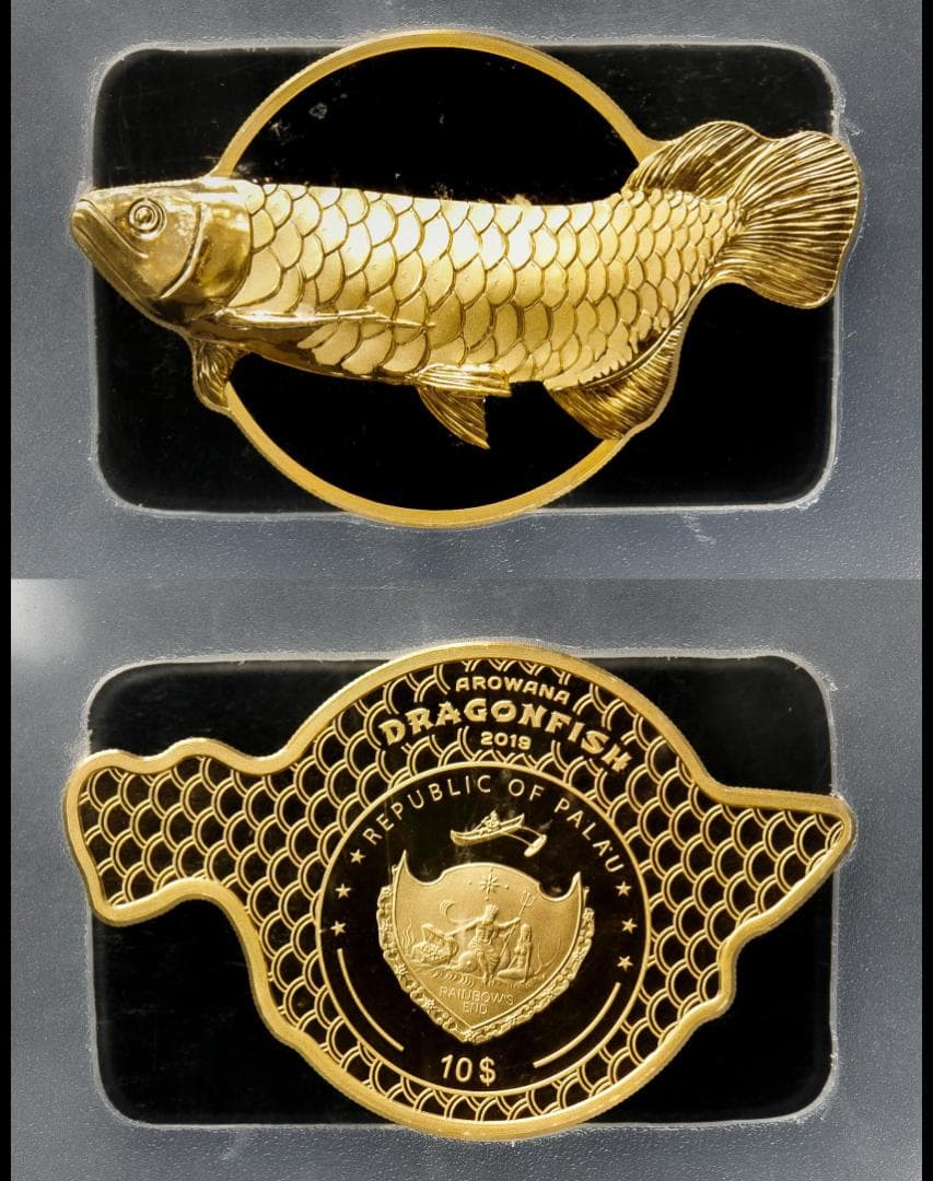 最高鑑定 PCGS-PR70 DCAM FDI パラオ アロワナ 2019 銀貨 - メルカリ