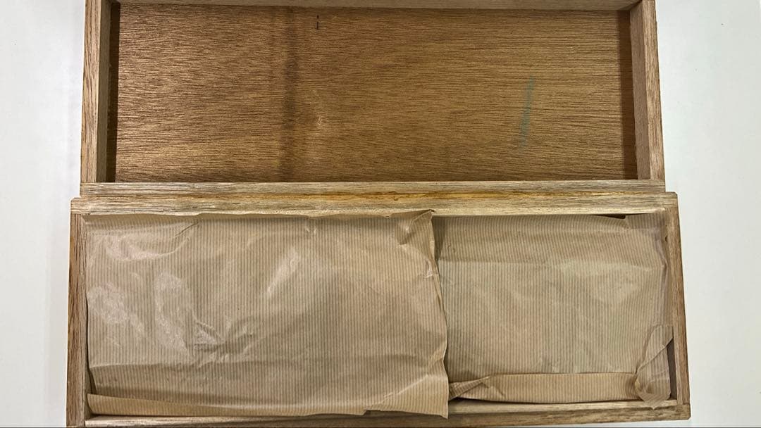 示準化石模型 5種セット 三葉虫 羊歯植物 床板さんご アンモナイトサメの