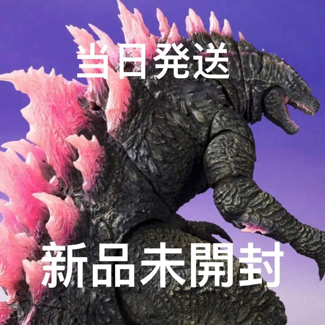 S.H.モンスターアーツ ゴジラ2024 2種セット【未開封】