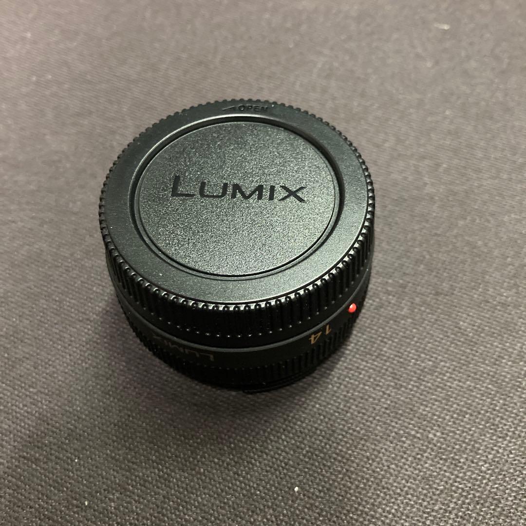 panasonic H-H014 LUMIX レンズ