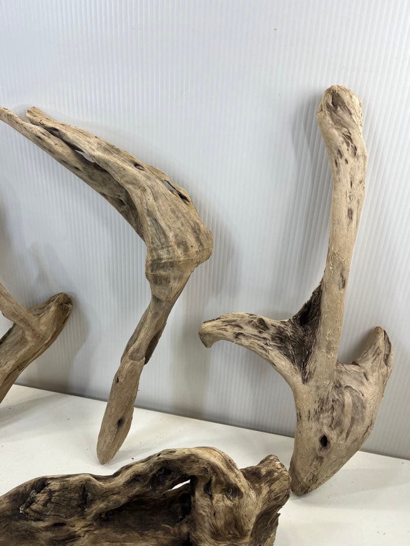 t55アク抜き済み流木セット 爬虫類シェルター 登り木 インテリア エア