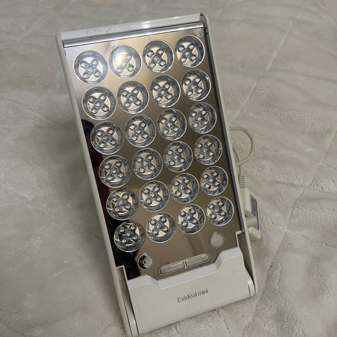 蝶標本 ヒメアオメガネトリバネアゲハ ペア