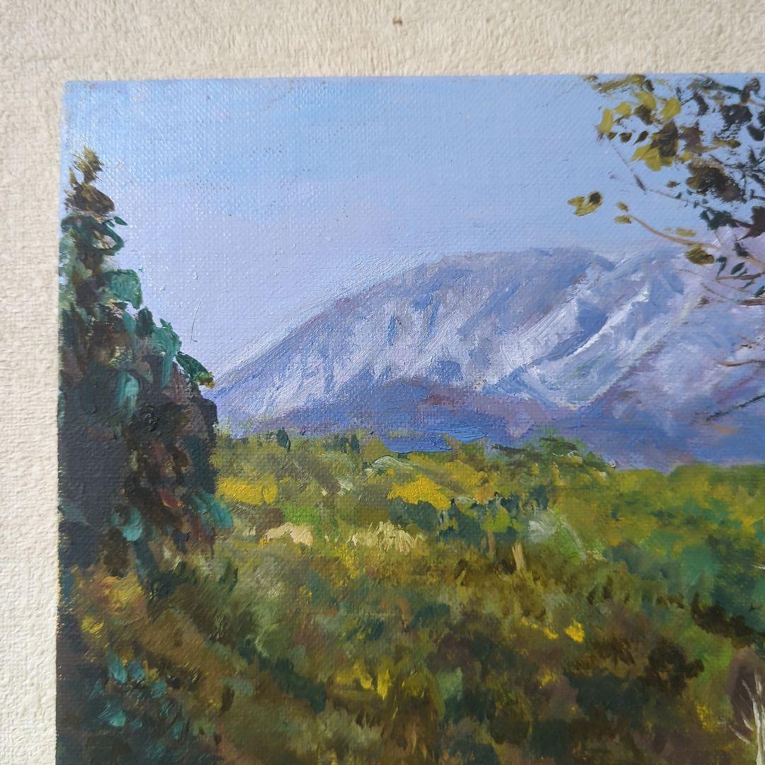 F4号油彩画（額無し)No.52