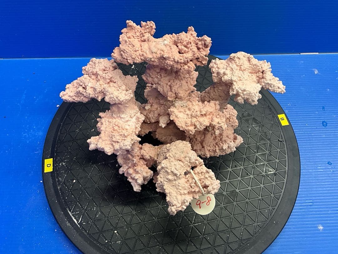 人工ライブロック. No.9-8 無害化処理済