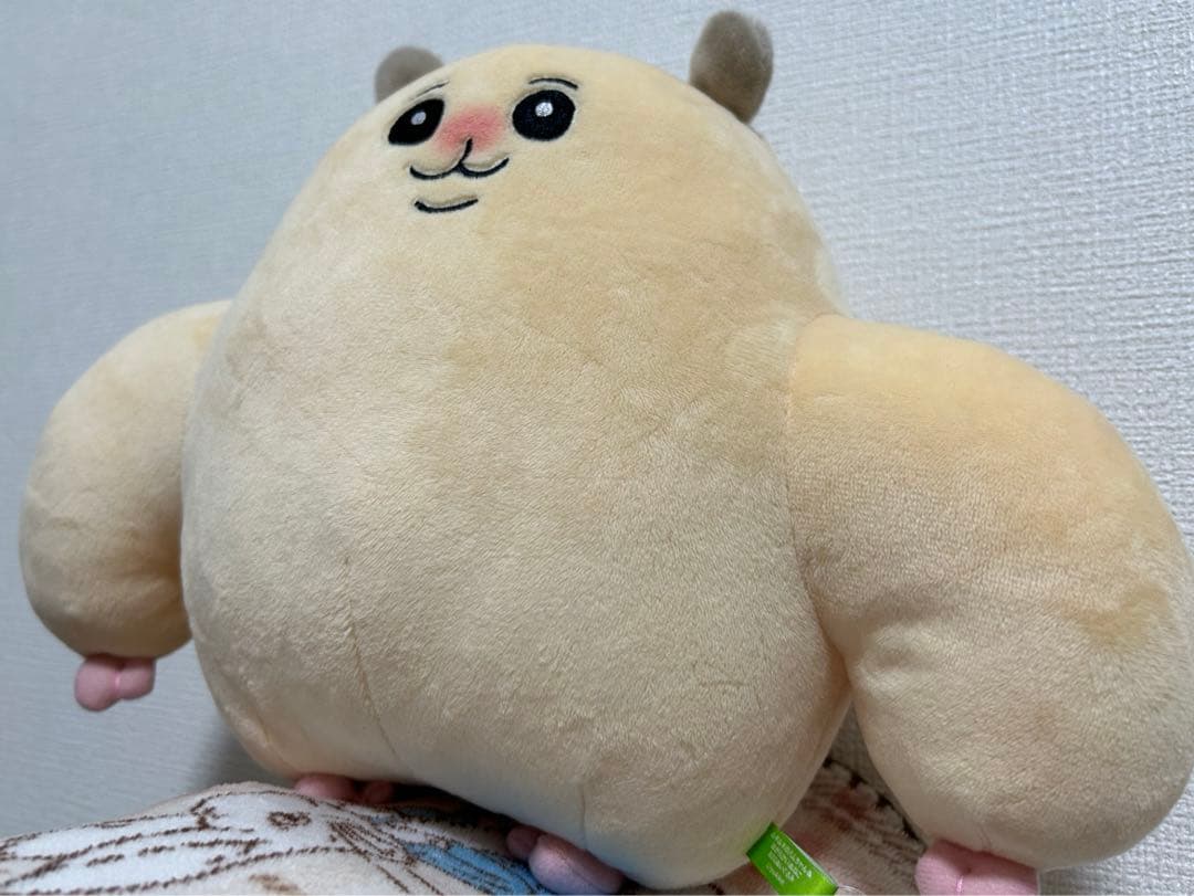 ムキムキのハムちゃん ほがらかいぬねこ BIGぬいぐるみ　ラウンドワン限定