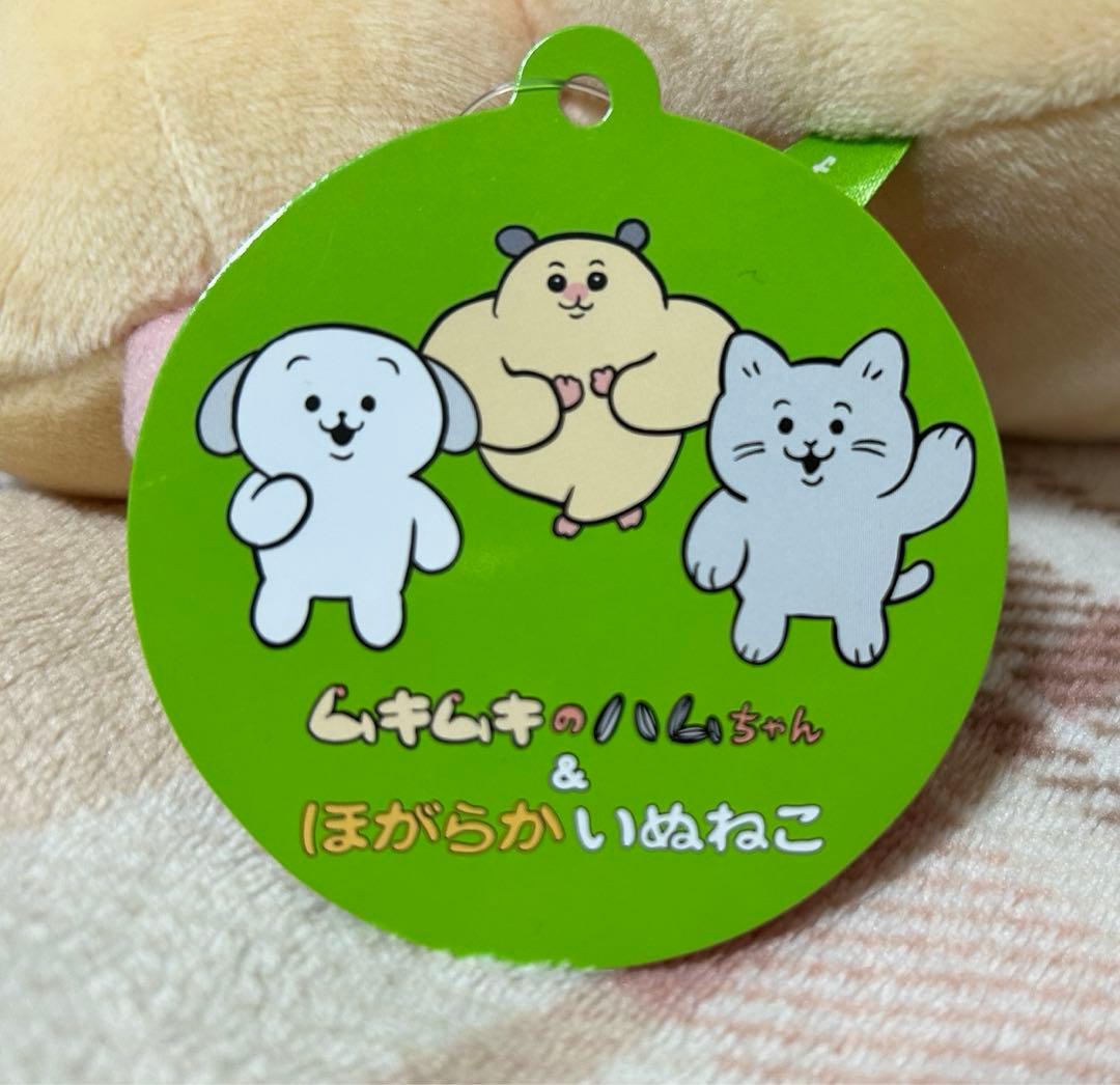 ムキムキのハムちゃん ほがらかいぬねこ BIGぬいぐるみ　ラウンドワン限定