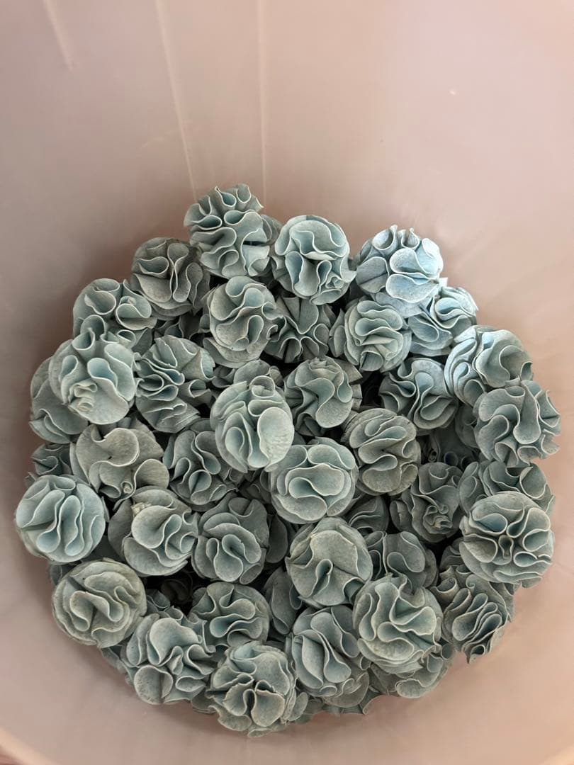 EHEIM 2213 外部フィルター ガラスパイプ ホースブラシ