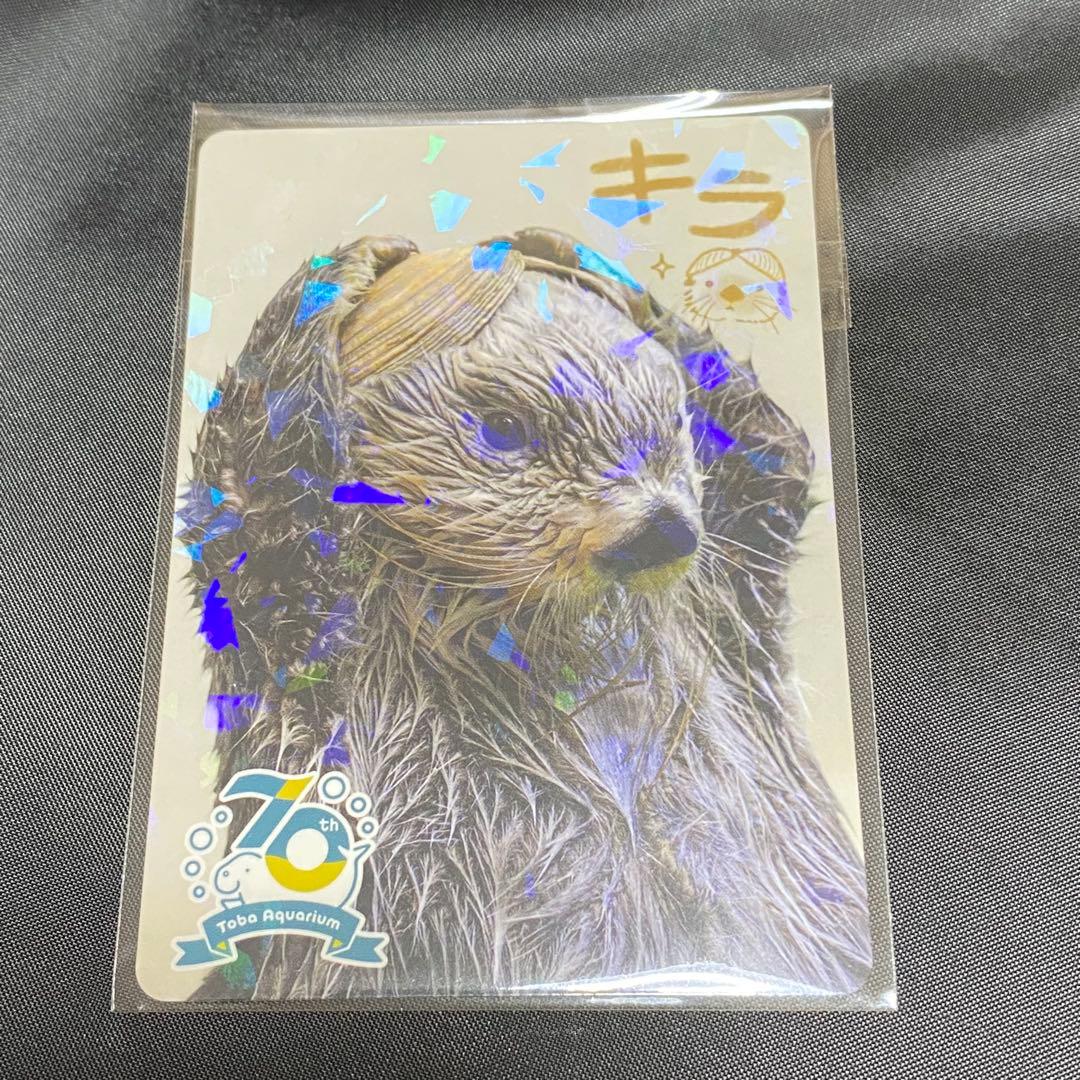 鳥羽水族館 70th コレクションカード レア キラちゃん