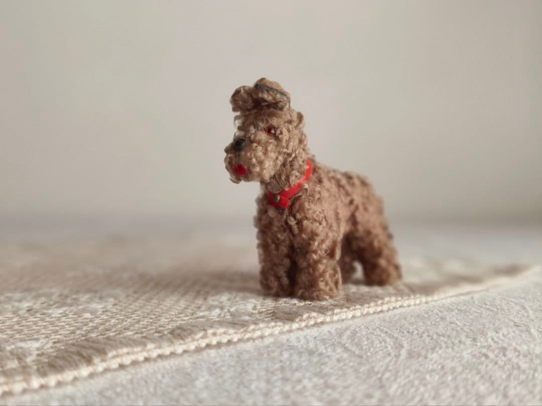 vintage dog ❀ クルクル巻き毛がキュートな ワンちゃん * vintage dog