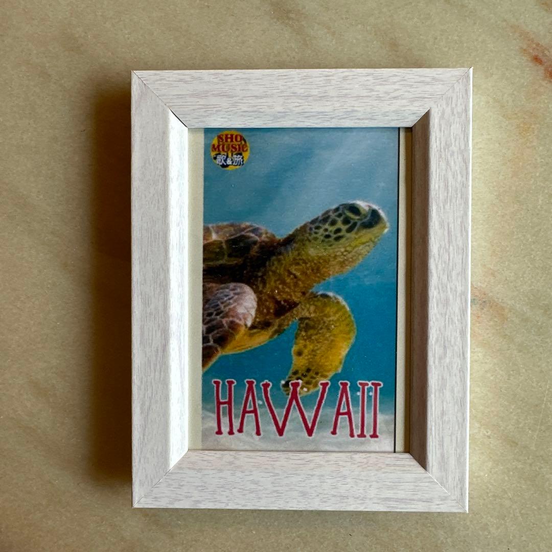♪HAWAII♪ウミガメのハワイ風景 フレーム付き ハワイ島 ウミガメ