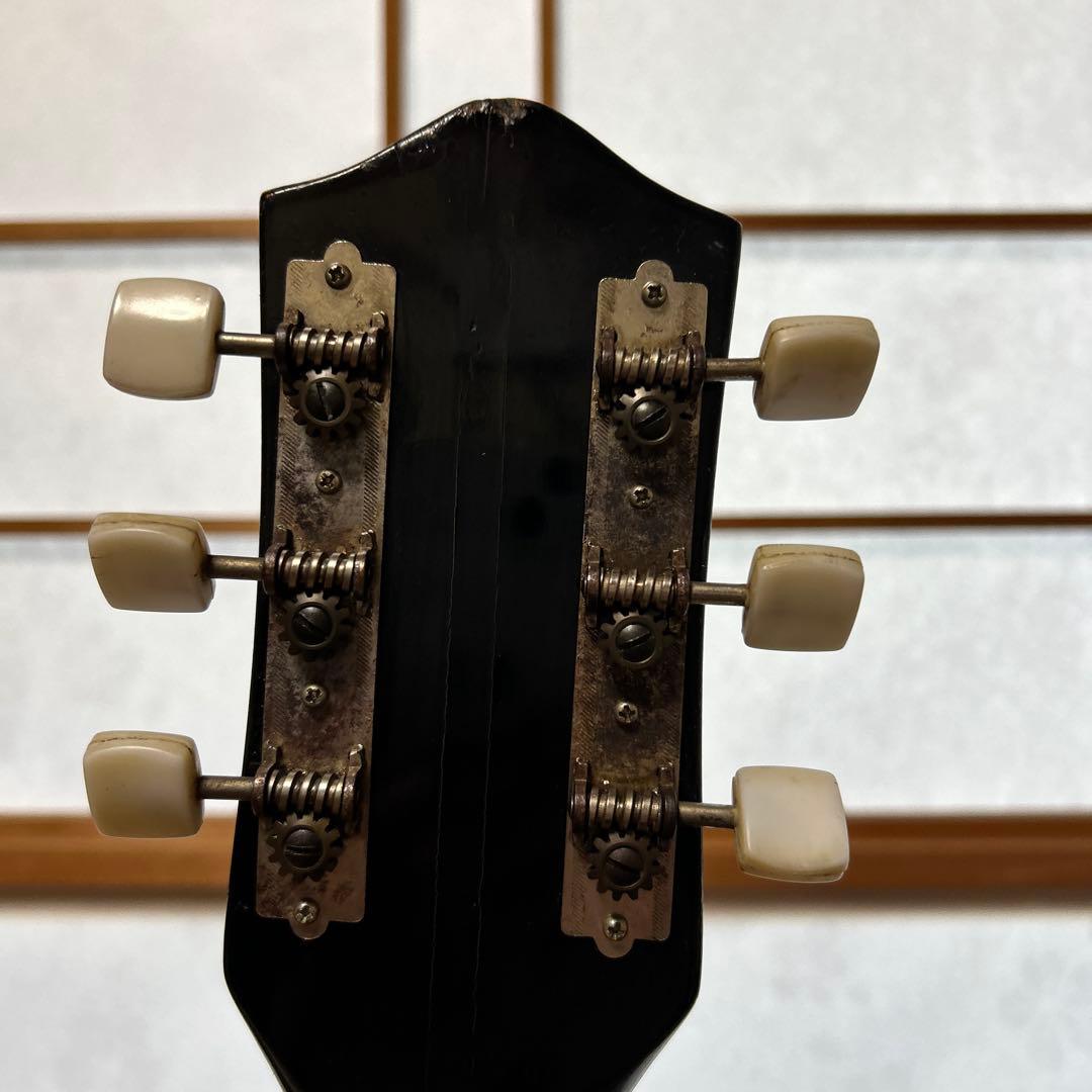 TEISCO EP-2L 1960年代 テスコ　サンバースト