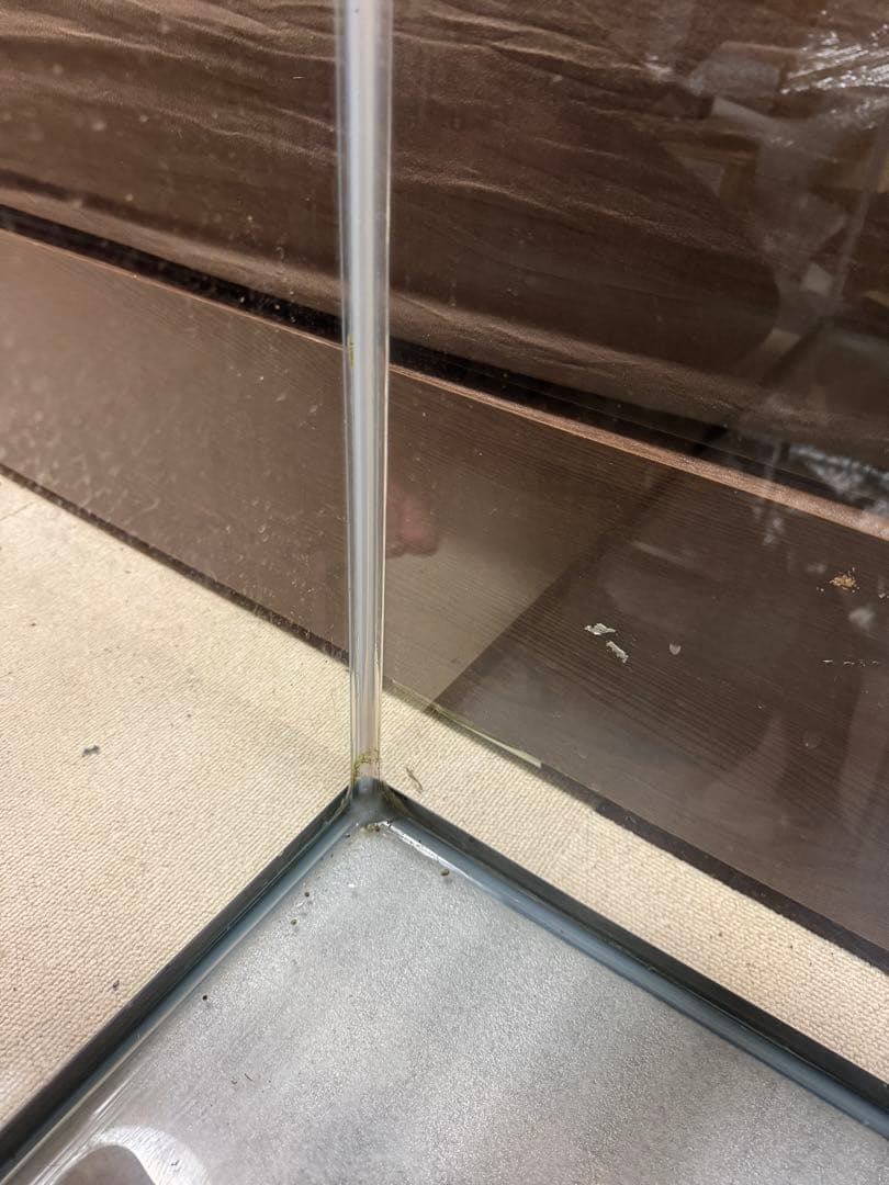 直接引取り限定GEX90ガラス水槽