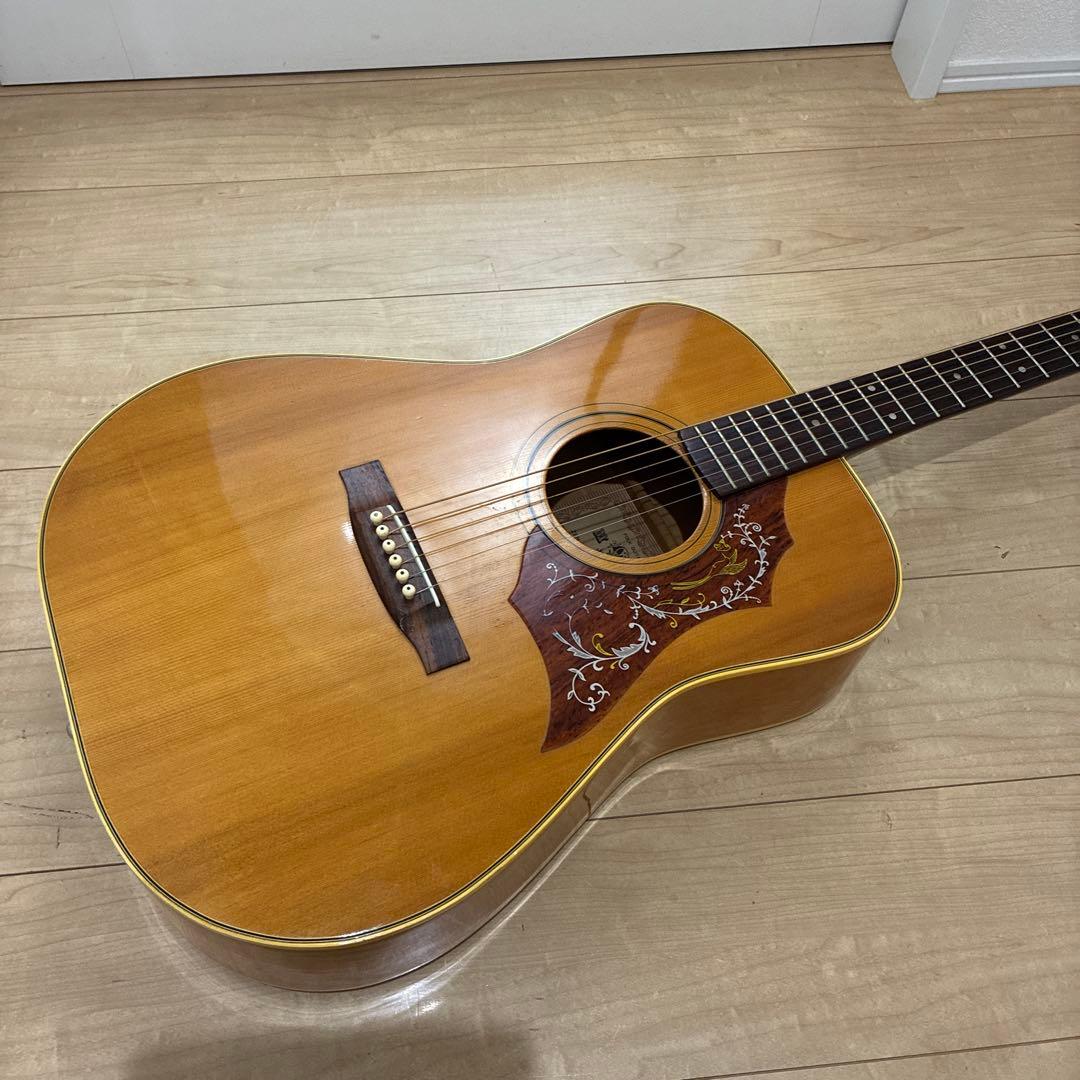 激レア ZENON 全音 アコースティックギター ハミングバードタイプ