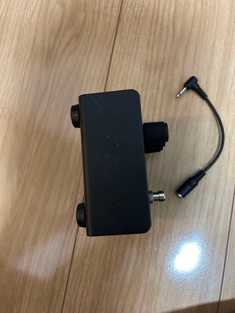 PROCO RAT2 1996年　リベット 銀ネジ LM308N