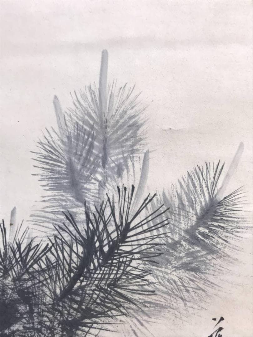 【真作】川村萬秋/稚松/若松図/松図/横物/掛軸/名家伝来/AD-37