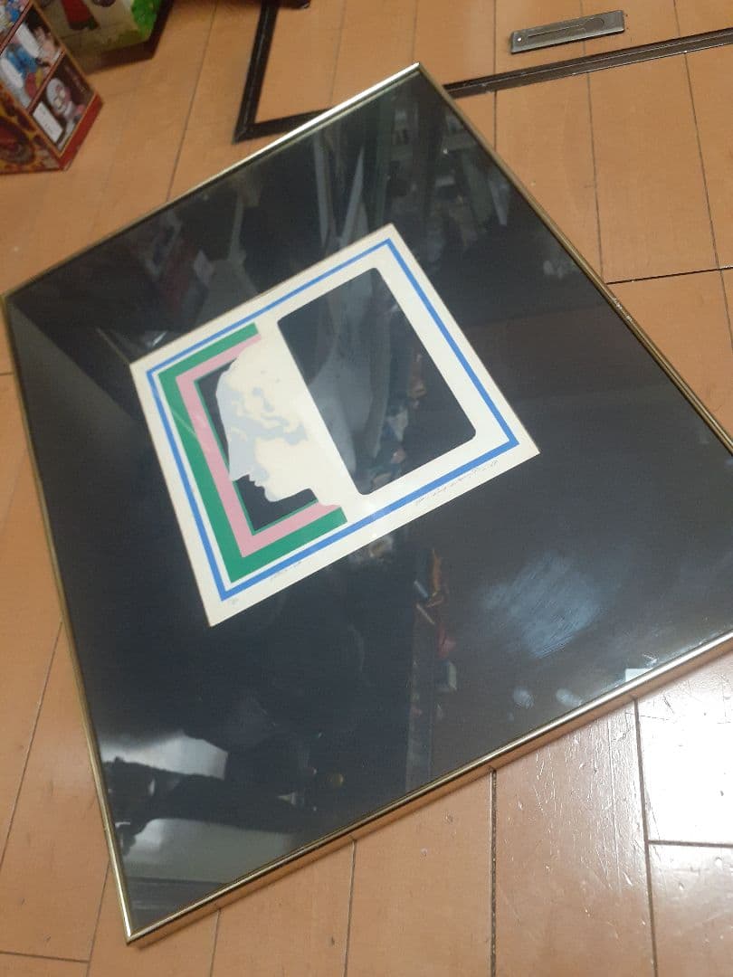 ビンテージ ミッドセンチュリー スペースエイジ ヴィーナス シルク