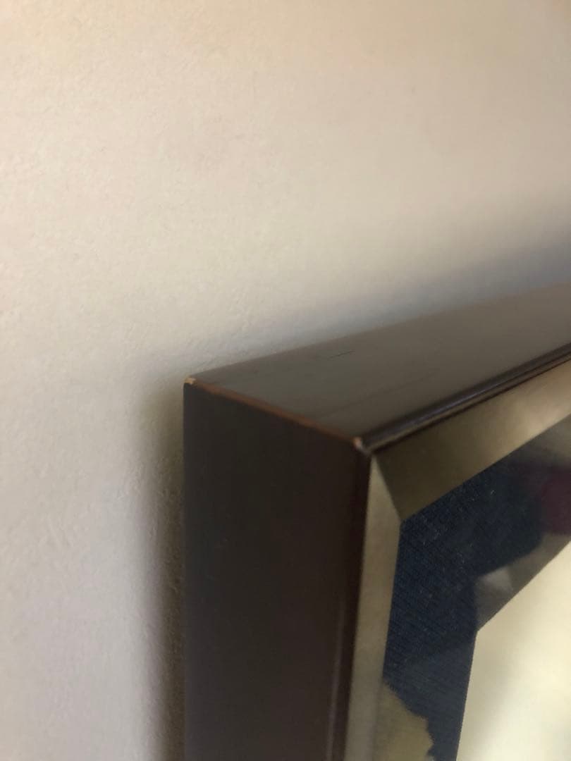 日本画額　ライナー付き　水彩画額縁