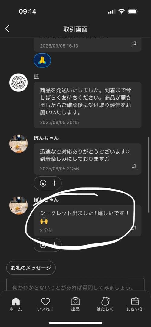 【正規品・未開封】Labubu Big into Energy 1箱