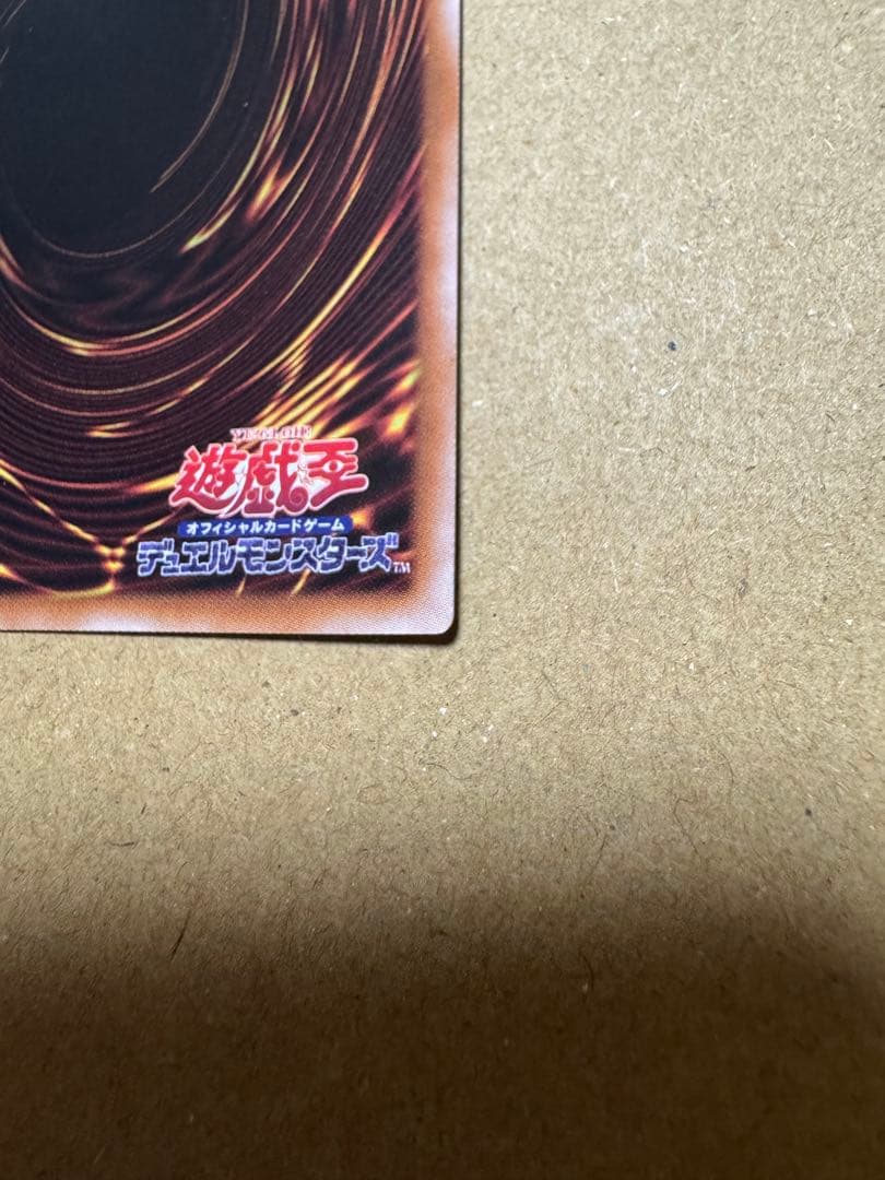 本日限りの値下げ 誇りと魂の龍【マグネットローダー付き】INFO-JP000