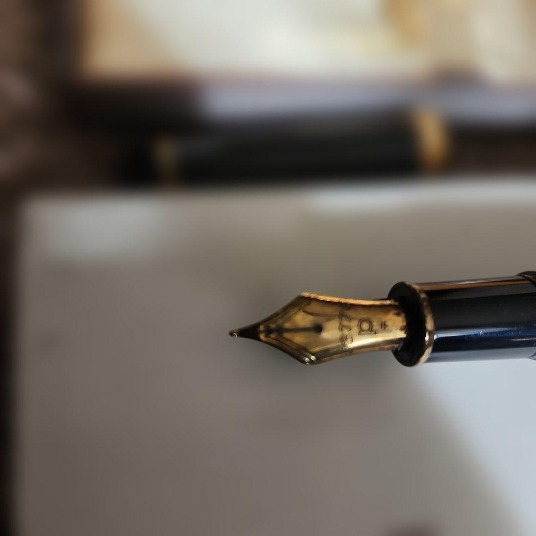 プラチナ3776 センチュリー中字&インクカートリッジ10個