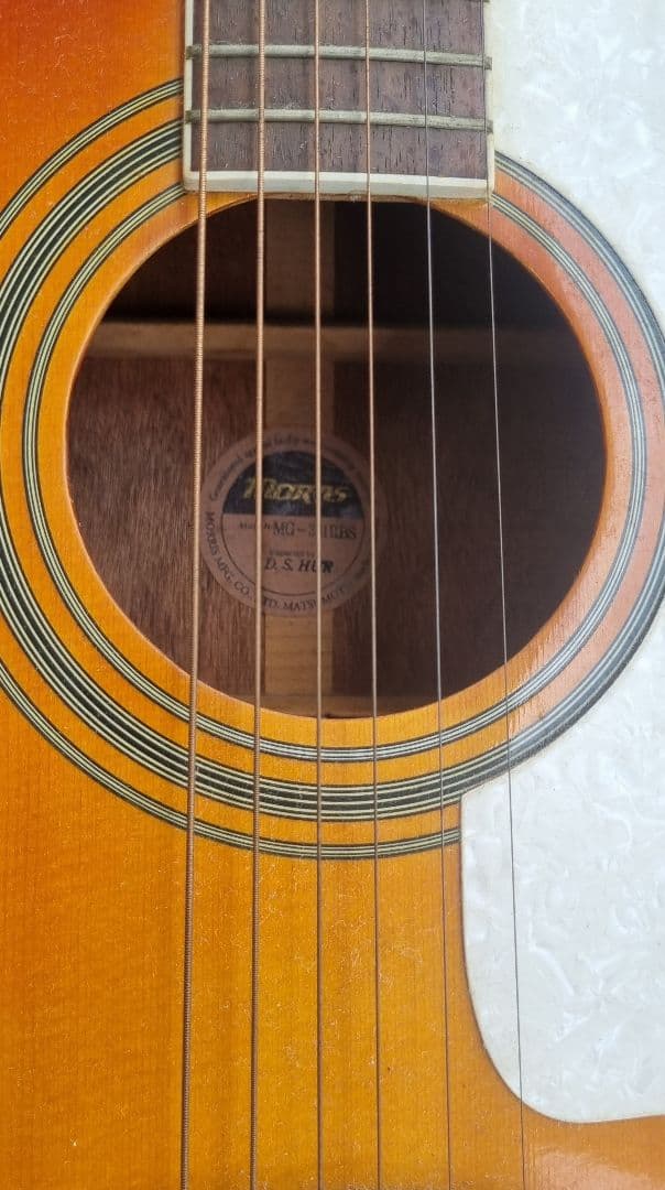 Morris アコースティックギター サンバースト ギブソン風ピックガード