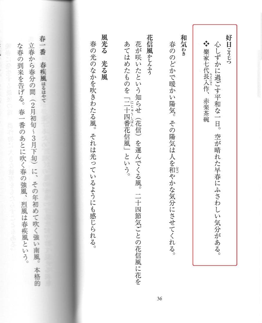 臨済宗大徳寺雲林院住職 藤田寛道造『シミ竹茶杓』銘：好日（共筒・