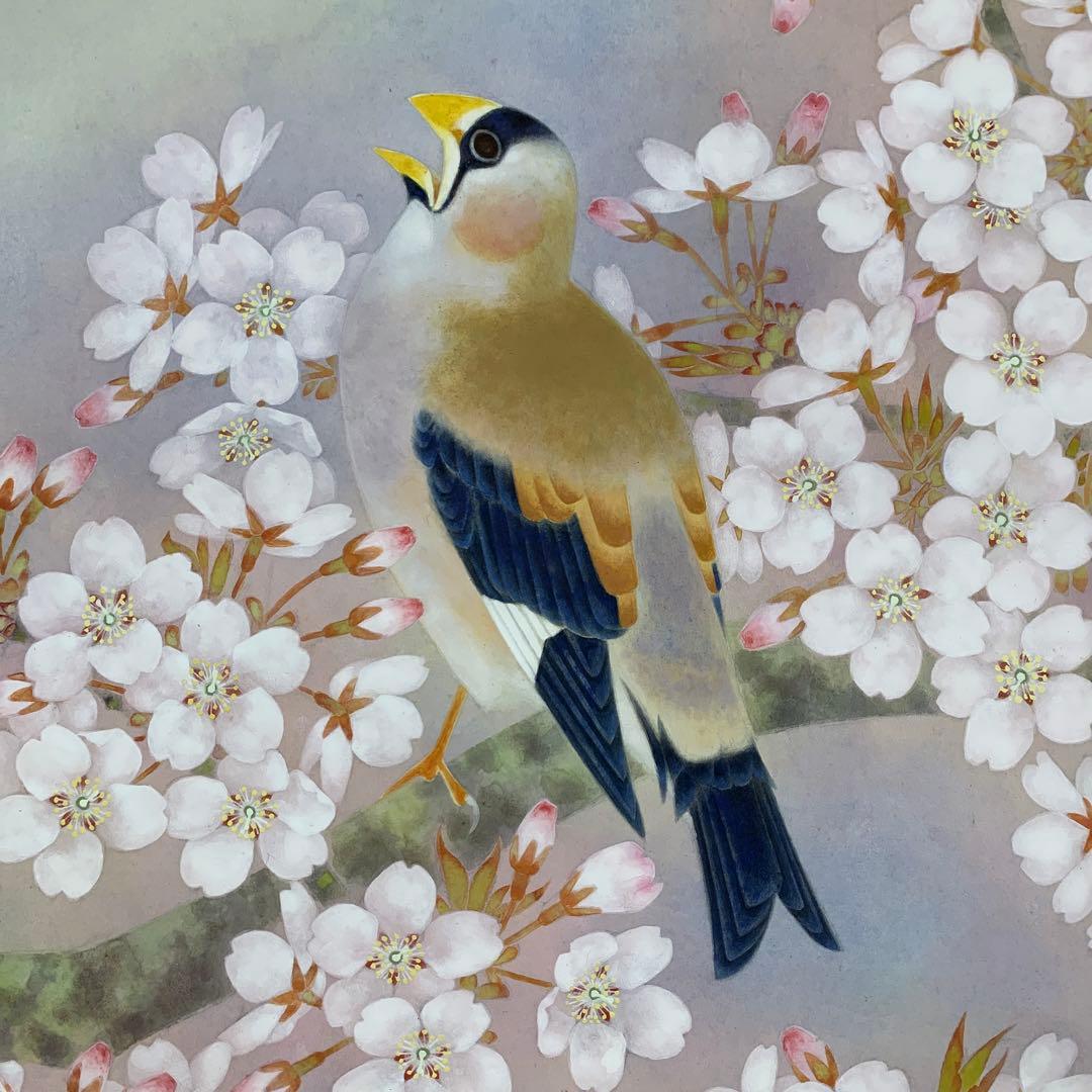 美品 掛け軸 市原秀人作「春囀」桜花鳥 共箱 太巻き付