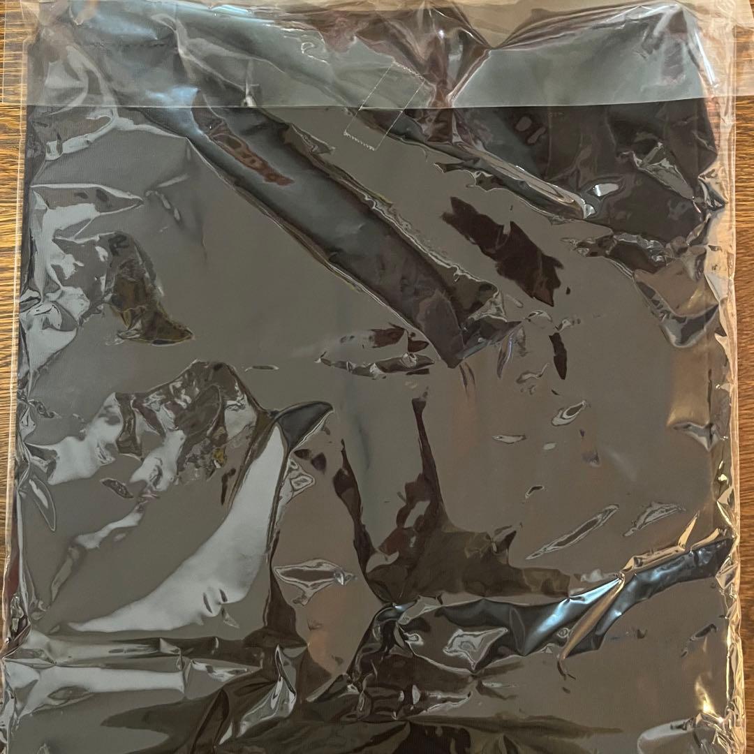 buddix Logo Tee LS Sサイズ ロンT