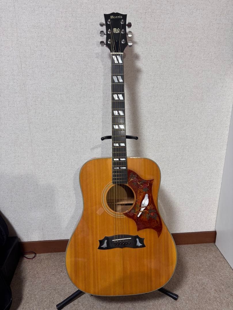 Morris MG-80オール単板 ジャパンビンテージ - メルカリ