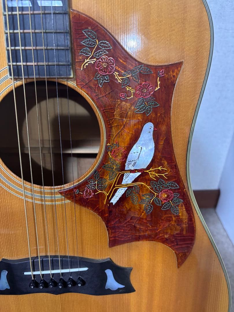 Morris MG-80オール単板 ジャパンビンテージ - メルカリ