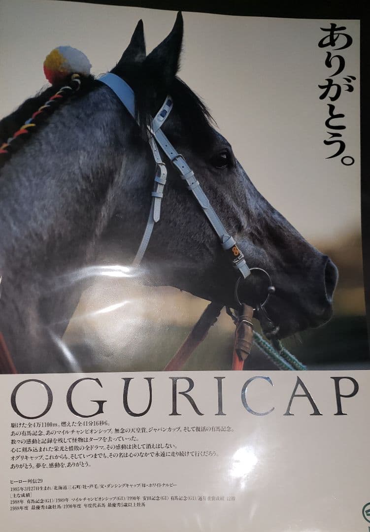 ヒーロー列伝 オグリキャップ B3ポスター 非売品】ウオッカ ポスター
