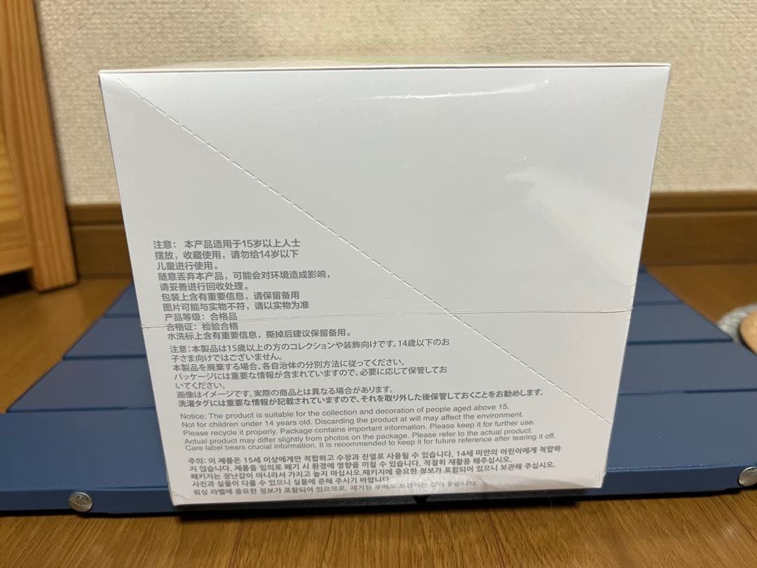 未開封・正規品　ラブブ Big into Energy アソートボックス 1箱