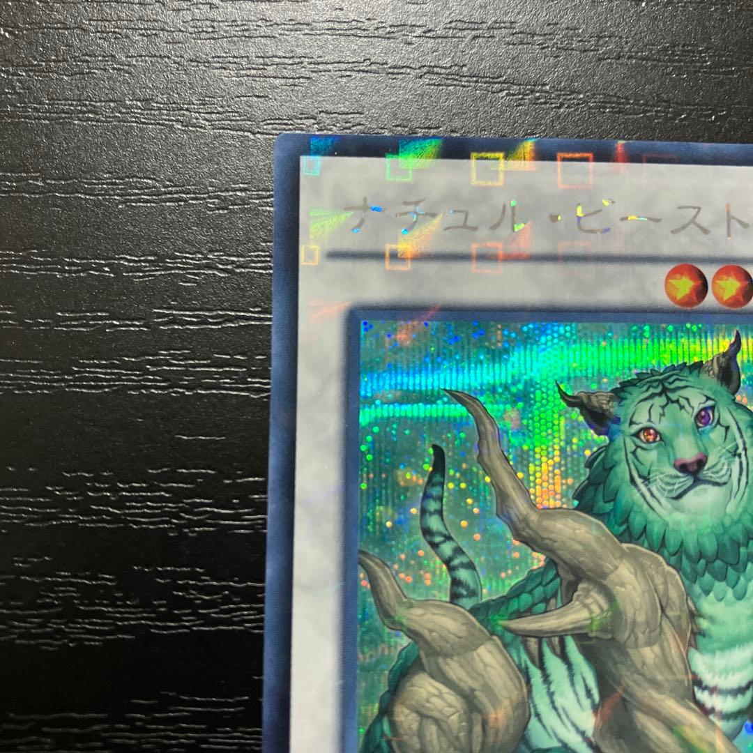 遊戯王　ナチュルビースト　シークレットレア1枚【DTC版】