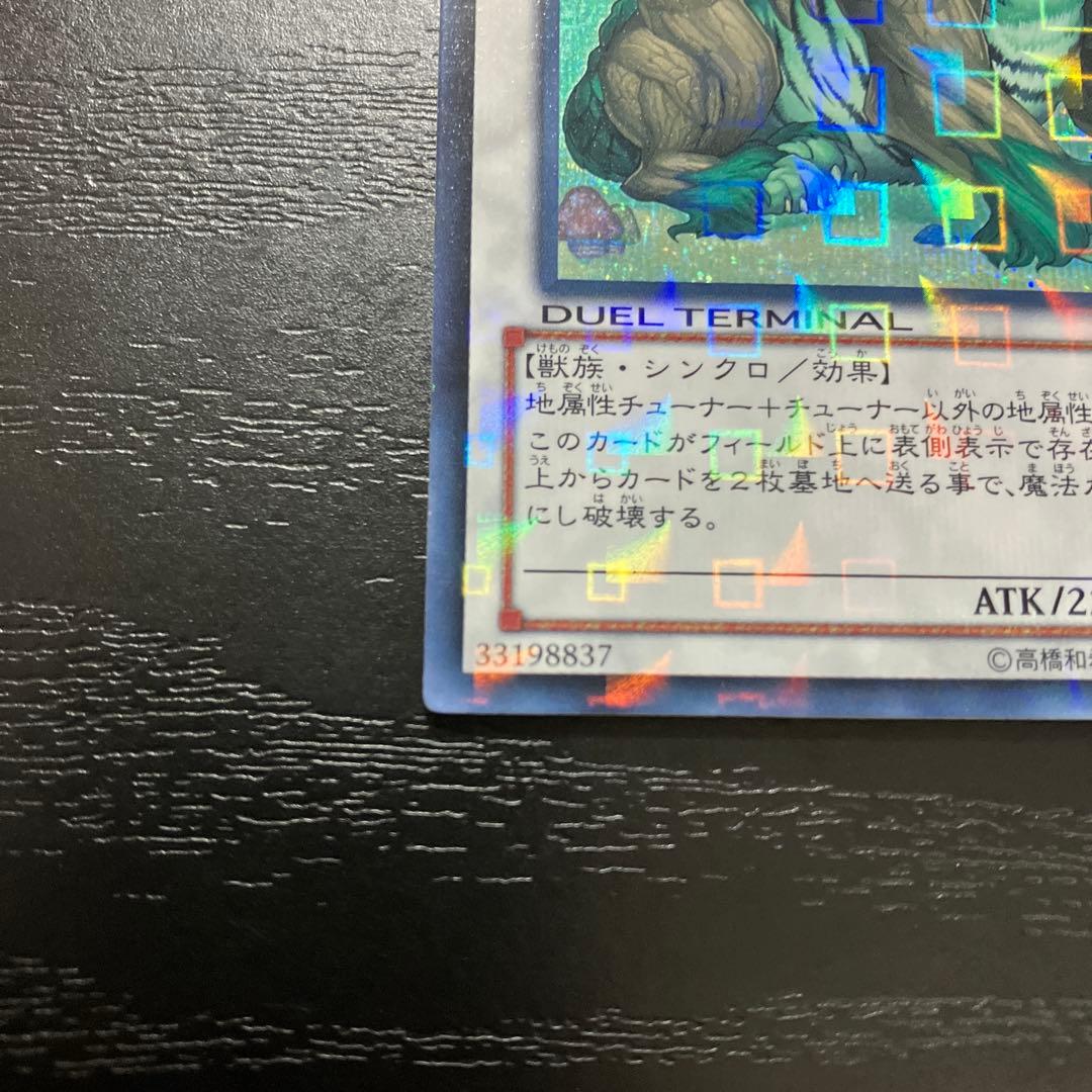 遊戯王　ナチュルビースト　シークレットレア1枚【DTC版】