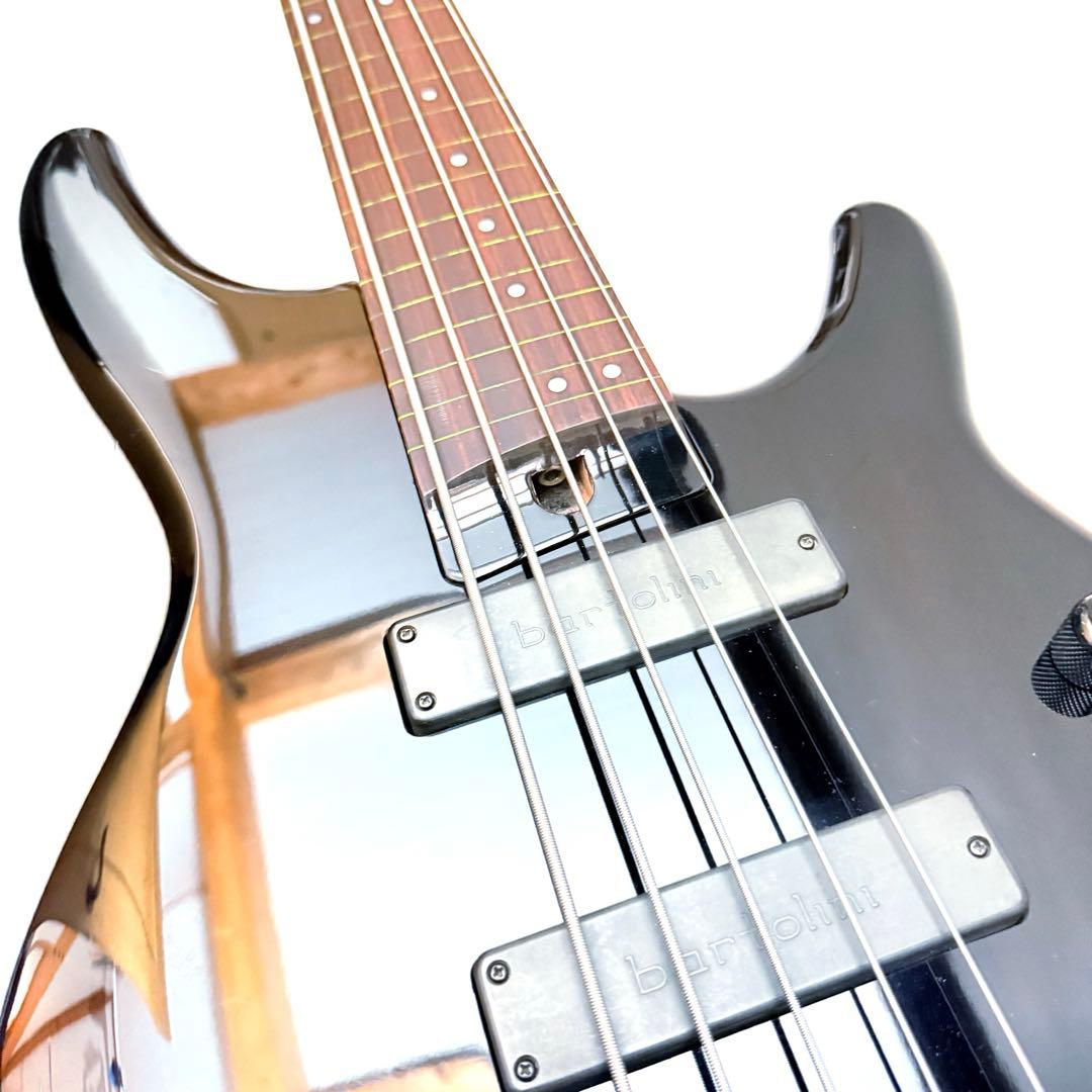 希少】HEARTFIELD DR-5 カスタム 5弦ベース フレットレス仕様 - メルカリ