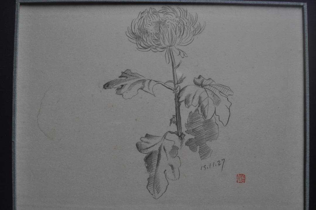希少「菊」デッサン木村荘八落款日付有肉筆世界に1枚です