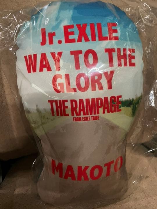 長谷川慎 WTTG トップ クッション