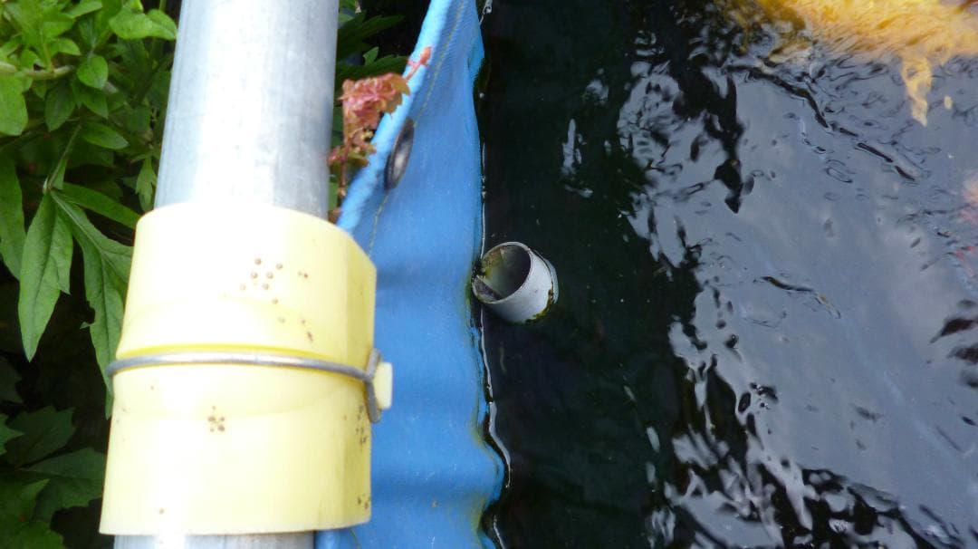 引取限定】錦鯉用ターポリンシート池（330cm×100cm×120cm 中古）