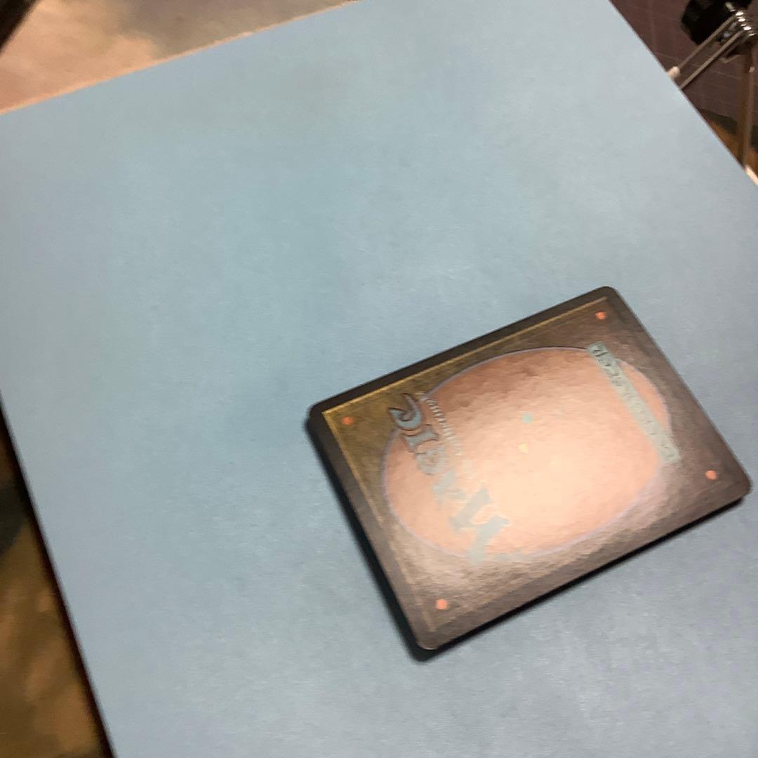 凶暴な打撃/Savage Beating  DST日本語foil