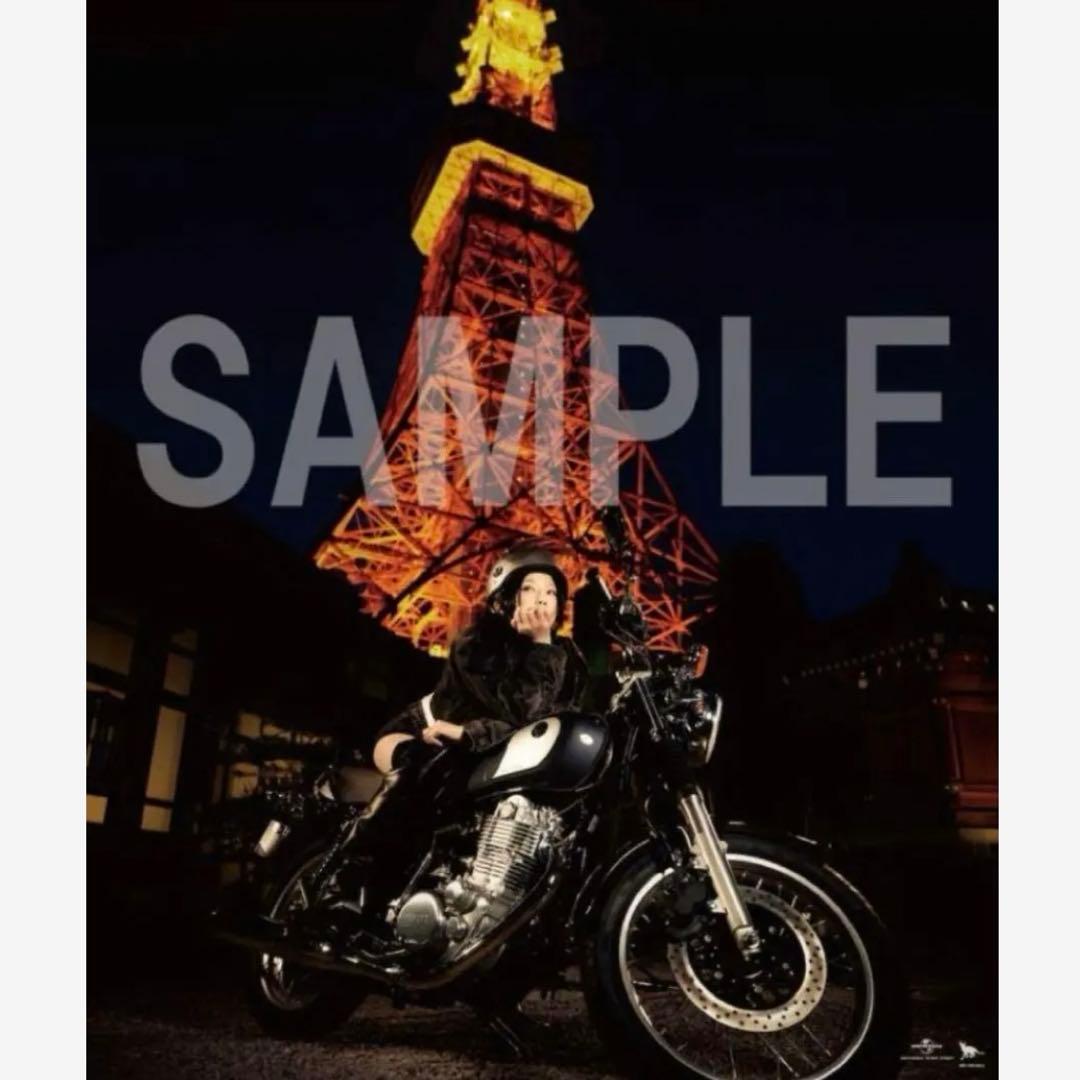 椎名林檎 限定 特典 ポスター 私は猫の目 グッズ - メルカリ