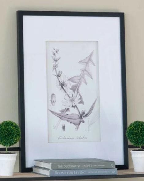 額絵 植物 アートフレーム 4枚セット ボタニカル ナチュラル AN-43782