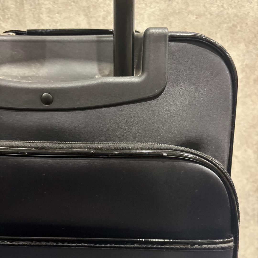 SWANY スワニー Walkin' Bagキャリーバッグ 鍵・保証書付 美品 - メルカリ