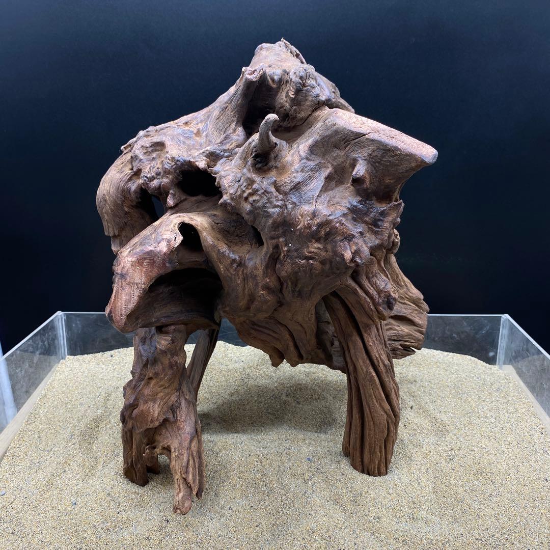 MRW-6570 特大自立赤系天然流木1点物流木アクアリウム