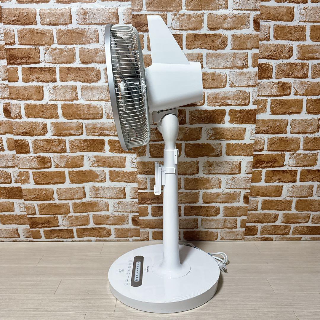 SHARP リビングファン PJ-J3DG プラズマクラスター　扇風機　シャープ